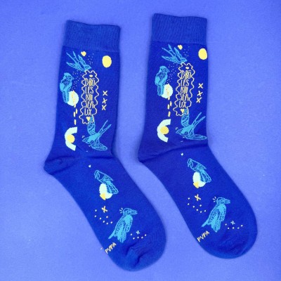 CHAUSSETTES DRÔLES D'OISEAUX