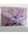 Affiche A4 fleurs
